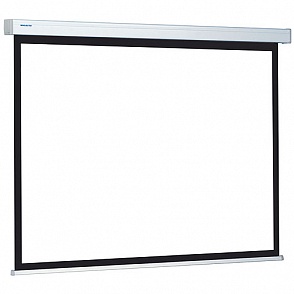(10200272) Экран Projecta ProScreen CSR 200х200 см Datalux настенный рулонный 1:1